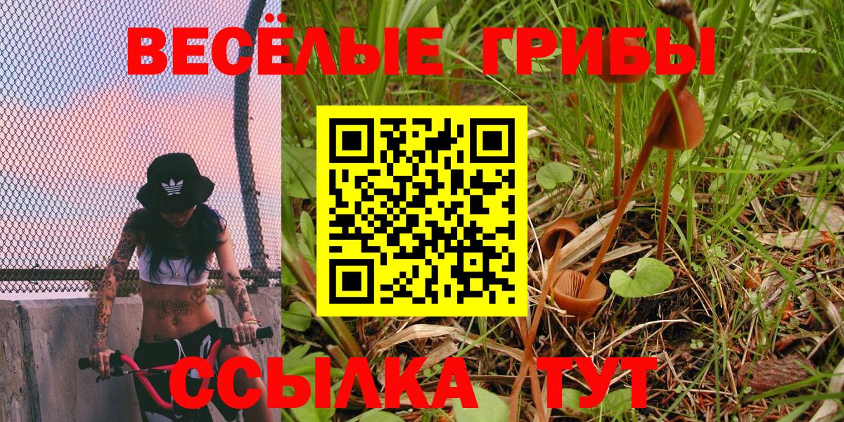 Галлюциногенные грибы Magic Shrooms Сатка